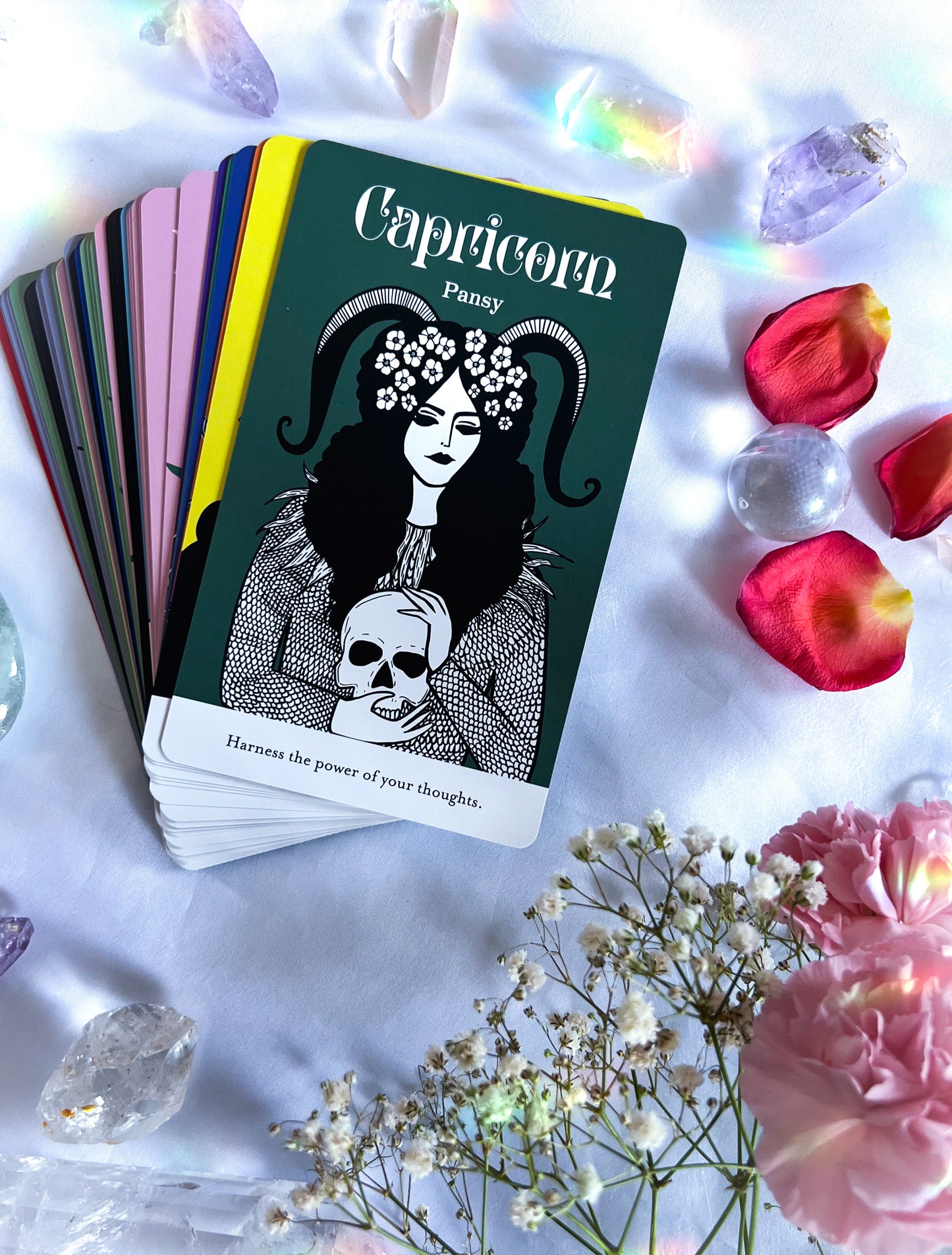 Snowdrop Oracle