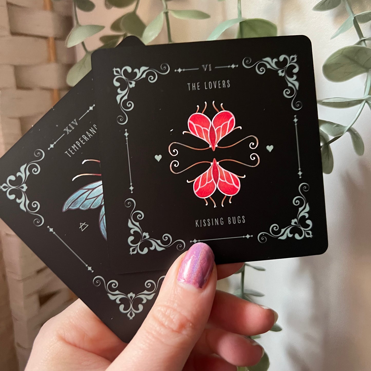 Insecta Obscura Tarot by Faina Lorah