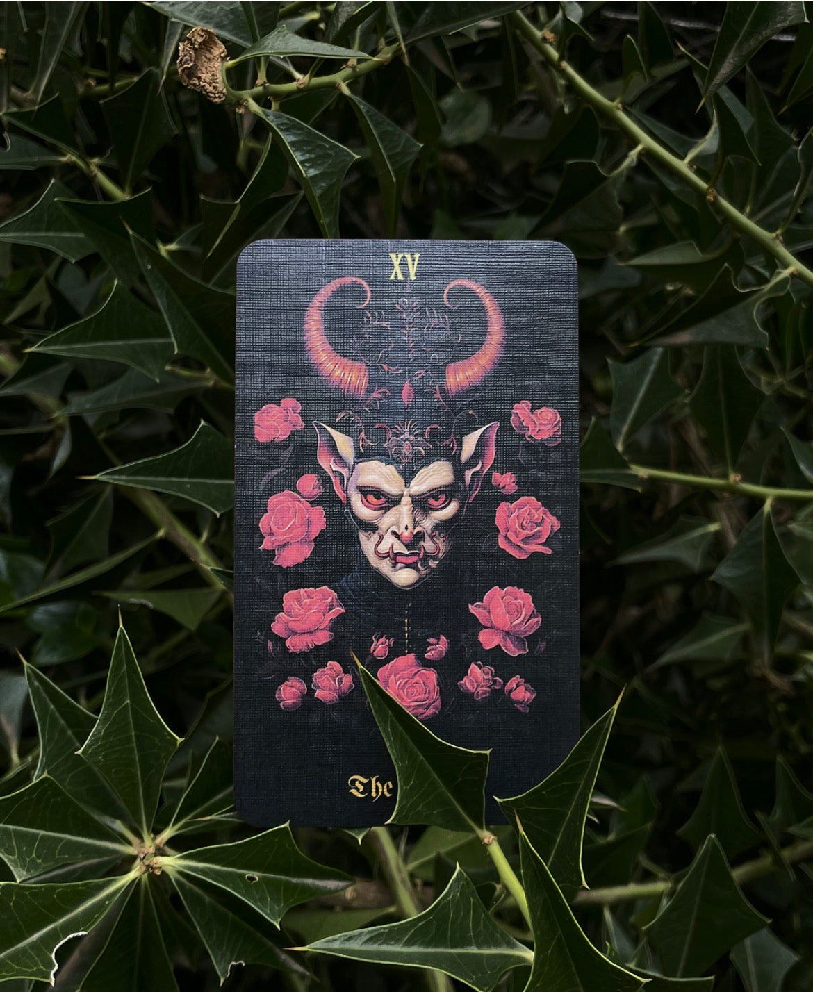 Secret Garden Tarot Deck