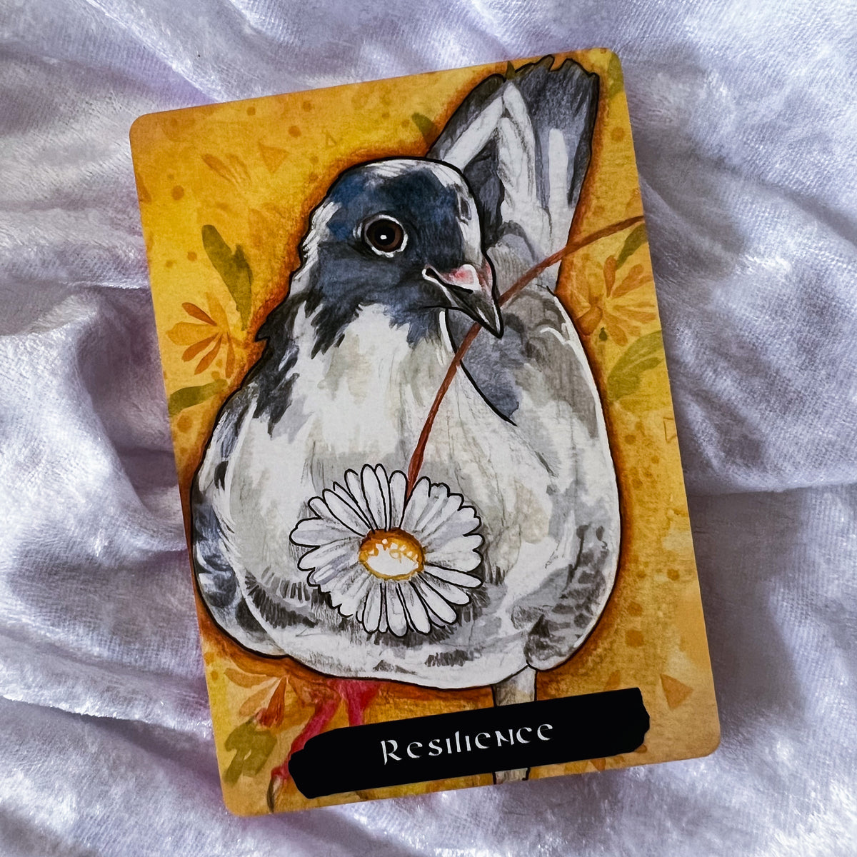 The Pigeon Oracle