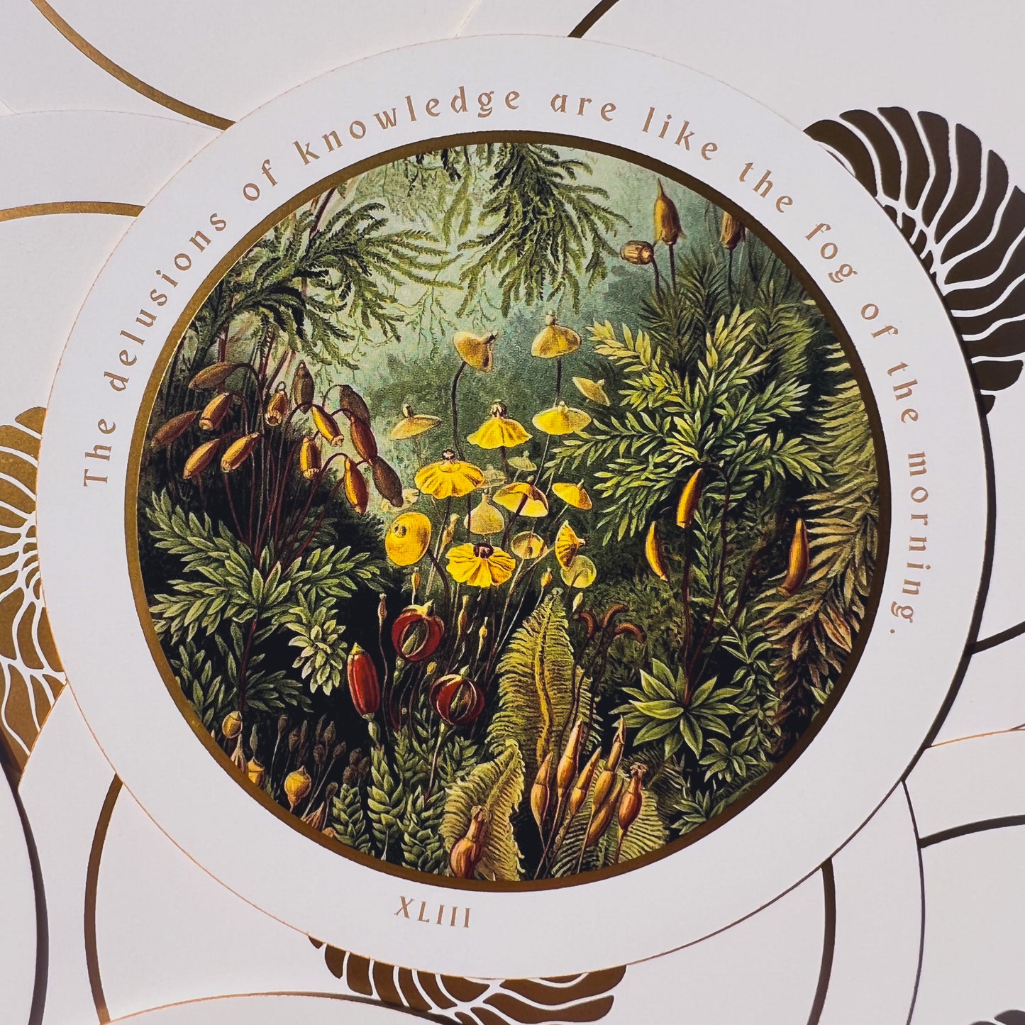 Fractals of Nature Collection Oracle Deck
