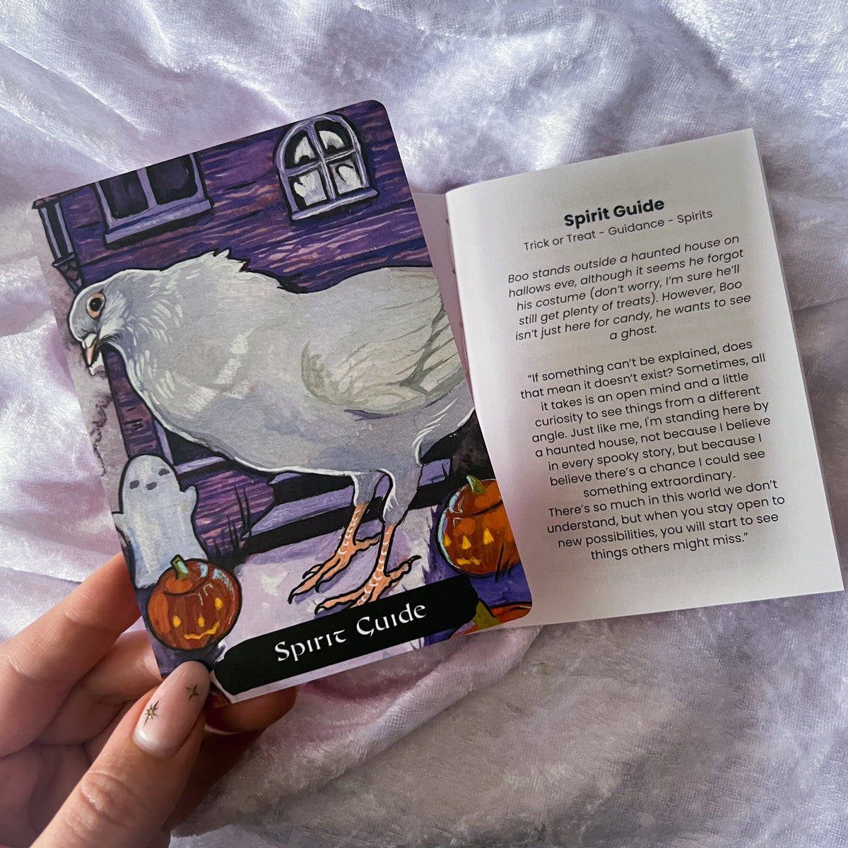 The Pigeon Oracle