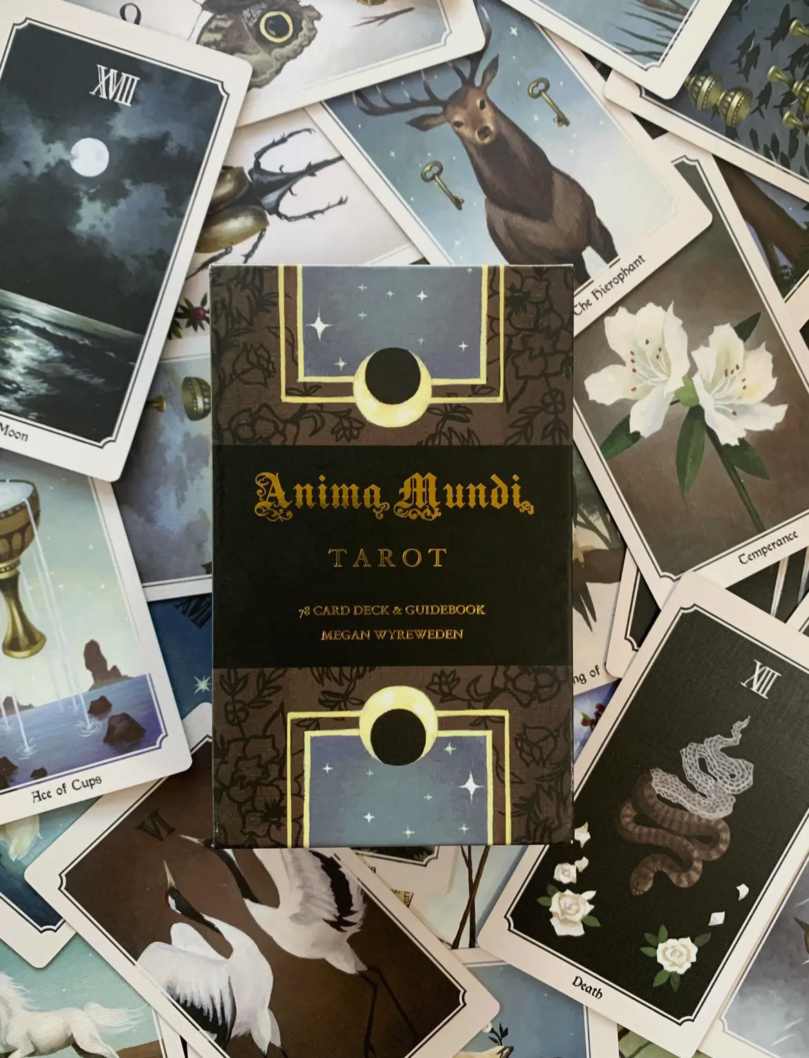 Anima Mundi Tarot